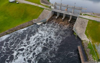 A Win Against the Army Corps’ Toxic Lake Okeechobee Discharges