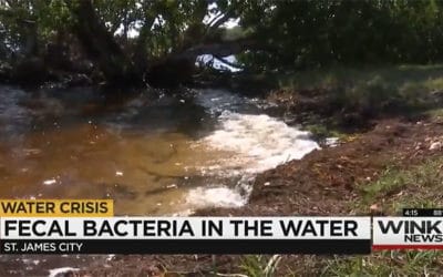 Fecal Indicator Bacteria Found in Water at Pine Island Park