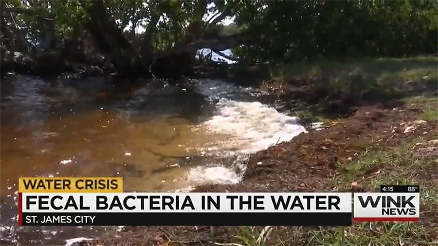 Fecal Indicator Bacteria Found in Water at Pine Island Park