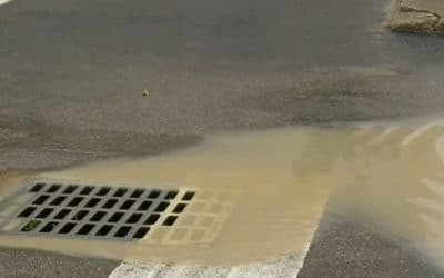 Construction Site Runoff Causing Murky Water in Downtown Fort Myers