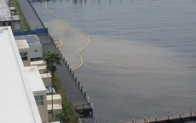 Once Again, Dirty Water Flows into the Caloosahatchee from Downtown Fort Myers Construction after Eta’s Soaking