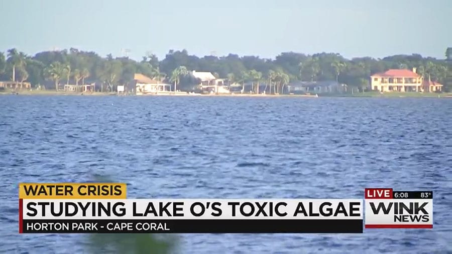 Judge Orders Engineers Study Lake O Water Release Effects on Algal Blooms and Endangered Species