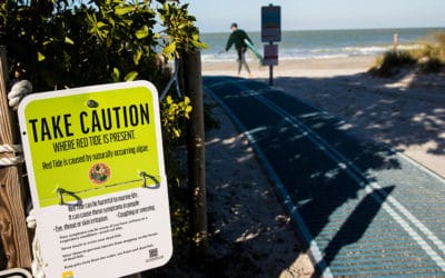 Researchers Warn Red Tide is Back in Southwest Florida