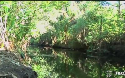 Fort Myers Leaders & Environmental Groups Collaborate for Billy’s Creek Clean-up