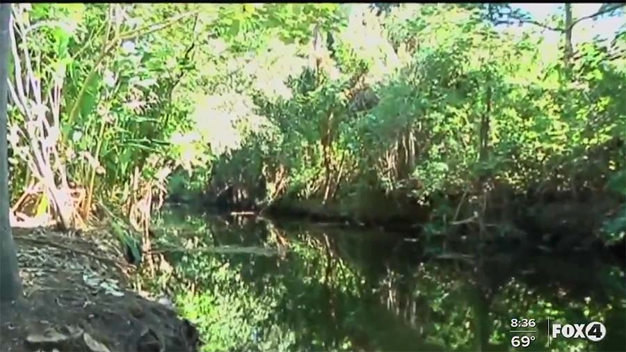 Fort Myers Leaders & Environmental Groups Collaborate for Billy’s Creek Clean-up