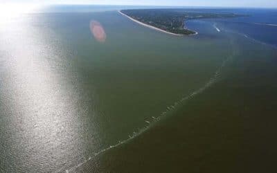 Aerial Images of SWFL Shores Shows Dark Water Discharge