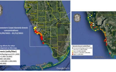 Red Tide Continues from Captiva South to Marco