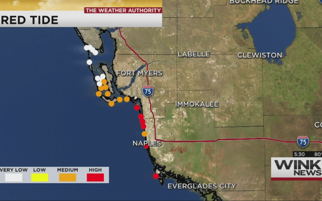 Studying How Highest Levels of Red Tide Affect People Along SWFL Coast