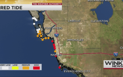 Studying How Highest Levels of Red Tide Affect People Along SWFL Coast