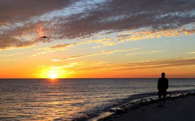 Fort Myers Sees Caloosahatchee Pollution