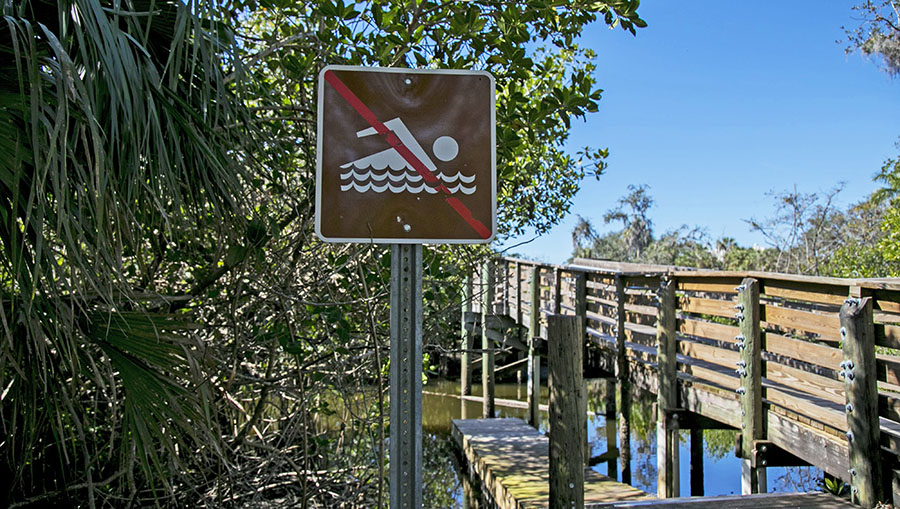 No Swimming sign at Billys Creek