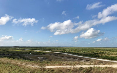 Caloosahatchee and EAA Reservoirs at the Top of Water District Work Last Year