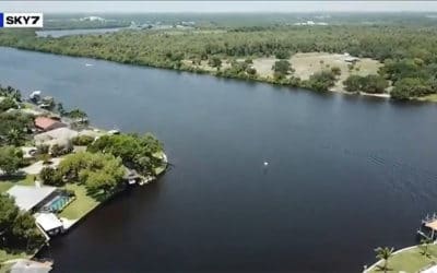 Algae Spreads Across Canals off Caloosahatchee