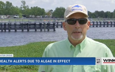 Two Algae Health Alerts Issued in Lee County as Community on Watch