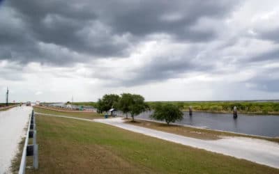 Parts of Historic Everglades Showing Signs of Blue-green Algae with Summer on the Horizon