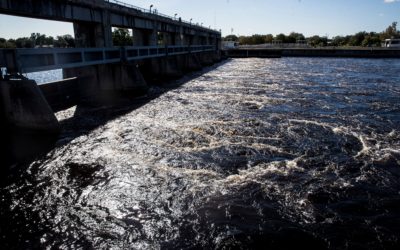 Blue-Green Algae Causes Health Officials to Close Recreational Area in Caloosahatchee