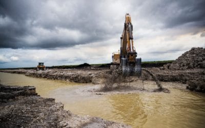 Science Academy: Everglades Restoration Won’t Fix Water Quality in Caloosahatchee or Estuary