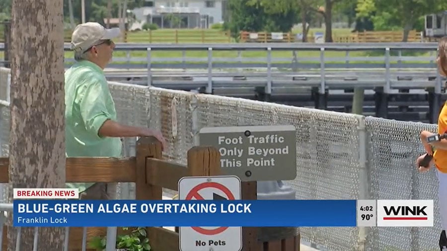 Blue-Green Algae Concerns Mount on Caloosahatchee Amid Rainy Season