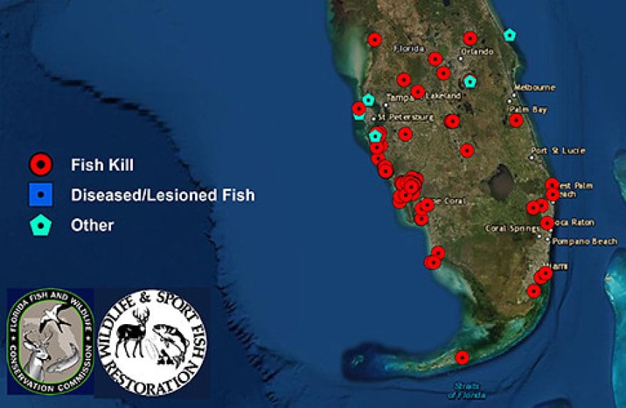 Reported Fish Kills_WGCU-web