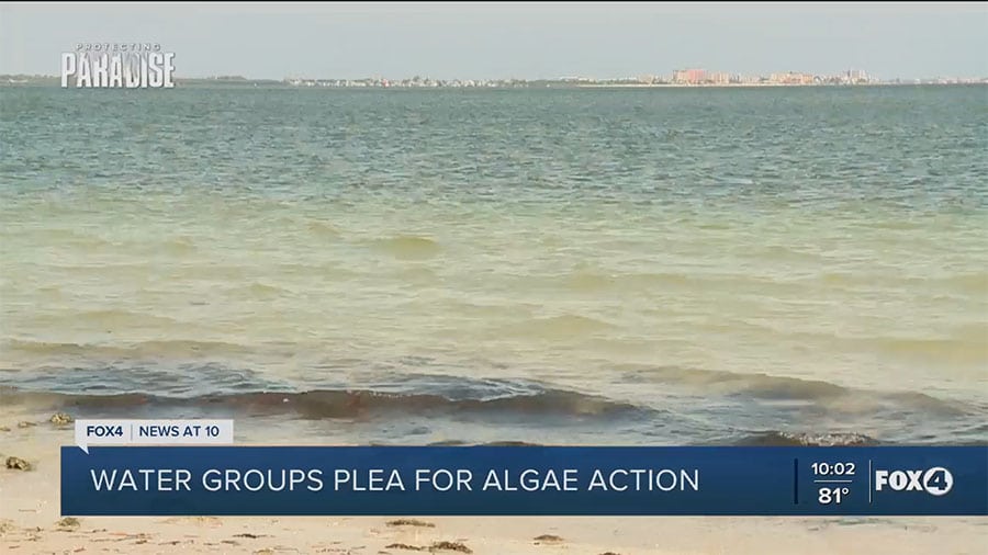 Water Groups Plea for Algae Action from Gov. DeSantis as More Blooms Appear in SWFL Waterways