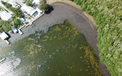 What’s Wrong with the Water Around Pine Island? Groups try to Find out as People get Sick & Move