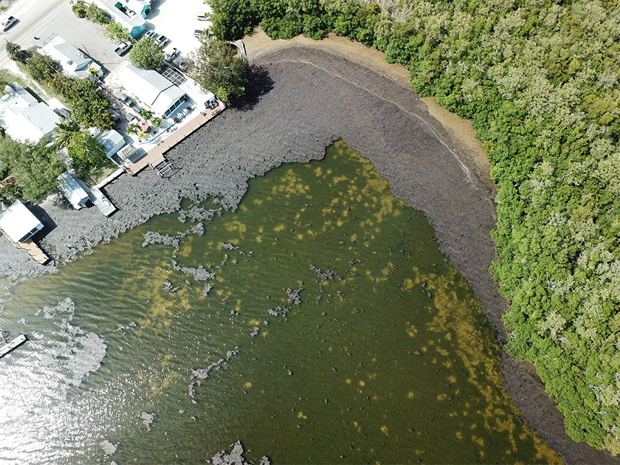 What’s Wrong with the Water Around Pine Island? Groups try to Find out as People get Sick & Move