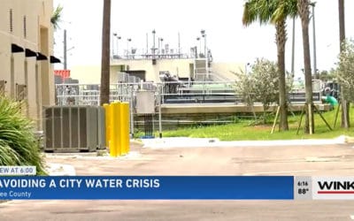 Algae Toxins Cripple Water Supply in West Palm Beach