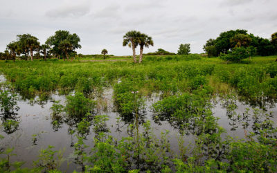 Tests & Research Ongoing at $37M Water District Boma Site in Glades County