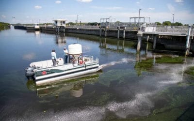 $750,000 and 6 Tons of Algaecide Later & Toxin Warning Signs are Still up Along the Caloosahatchee in Olga