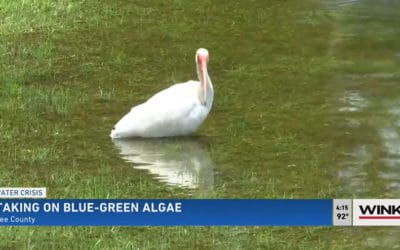 Peroxide-Based Algaecide Pilot Program Underway to Combat Blue-Green Algae