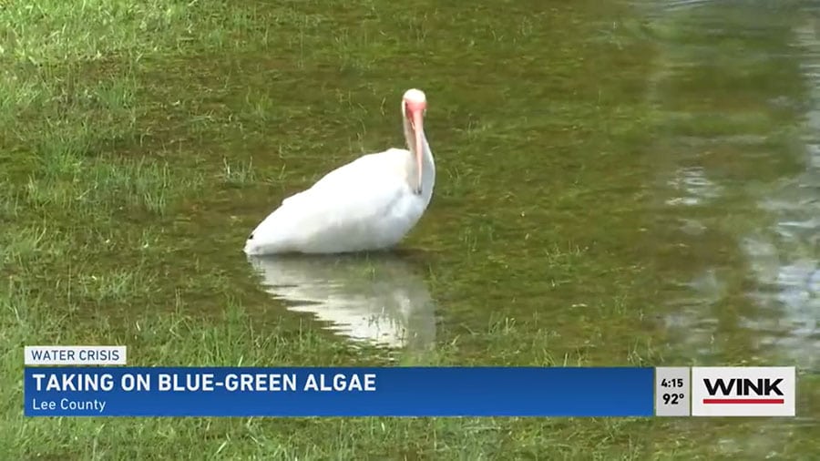 Peroxide-Based Algaecide Pilot Program Underway to Combat Blue-Green Algae