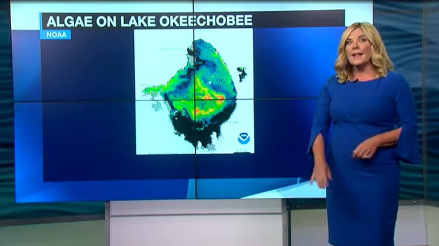 Algae on Lake O_NBC2