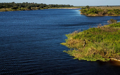 Kissimmee Restoration will Help Curb Harmful Flows & Pollution to Caloosahatchee