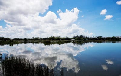 Connecting the Dots for Restoring Florida’s Waters