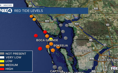 Red Tide Leading to Fish Kills off Coast of Southwest Florida