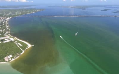 John Cassani Speaks at the Sanibel Rotary