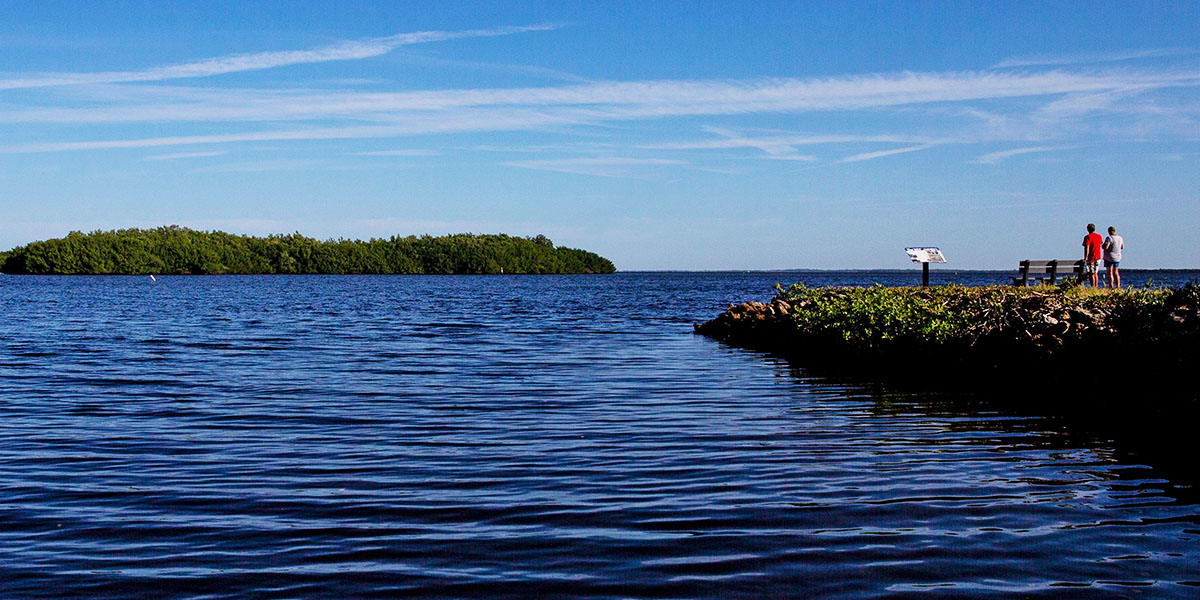 wetlands