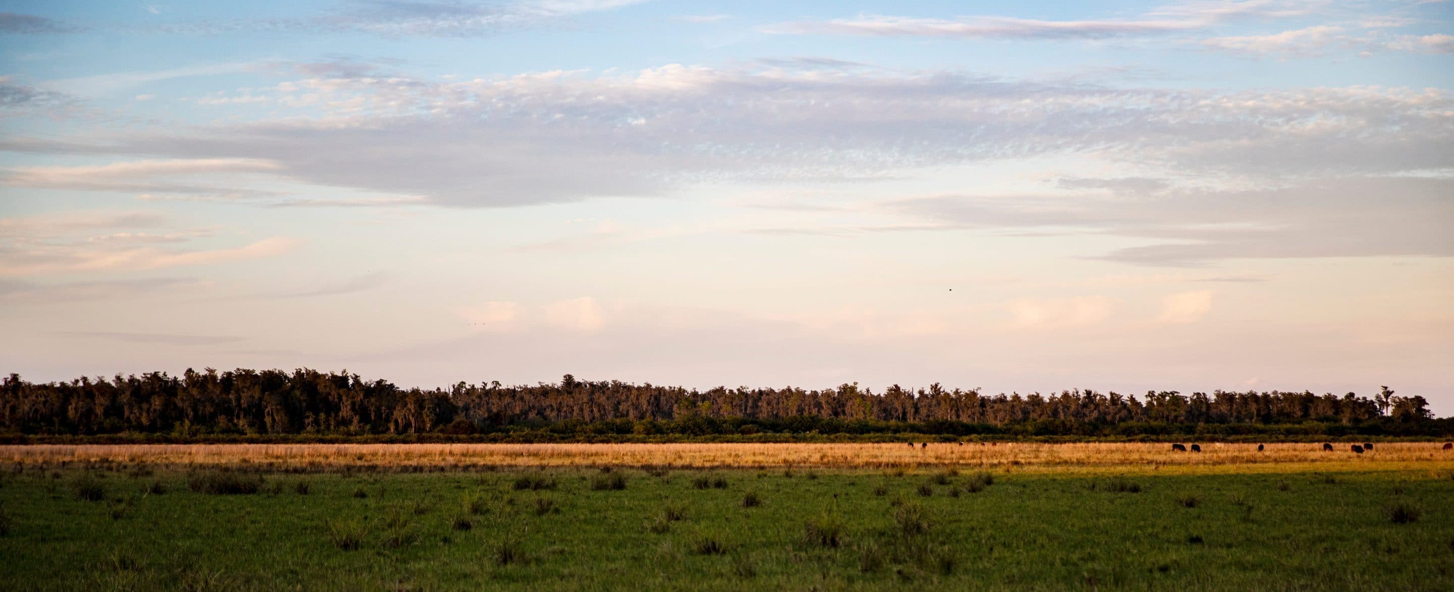 open ranch land panorama