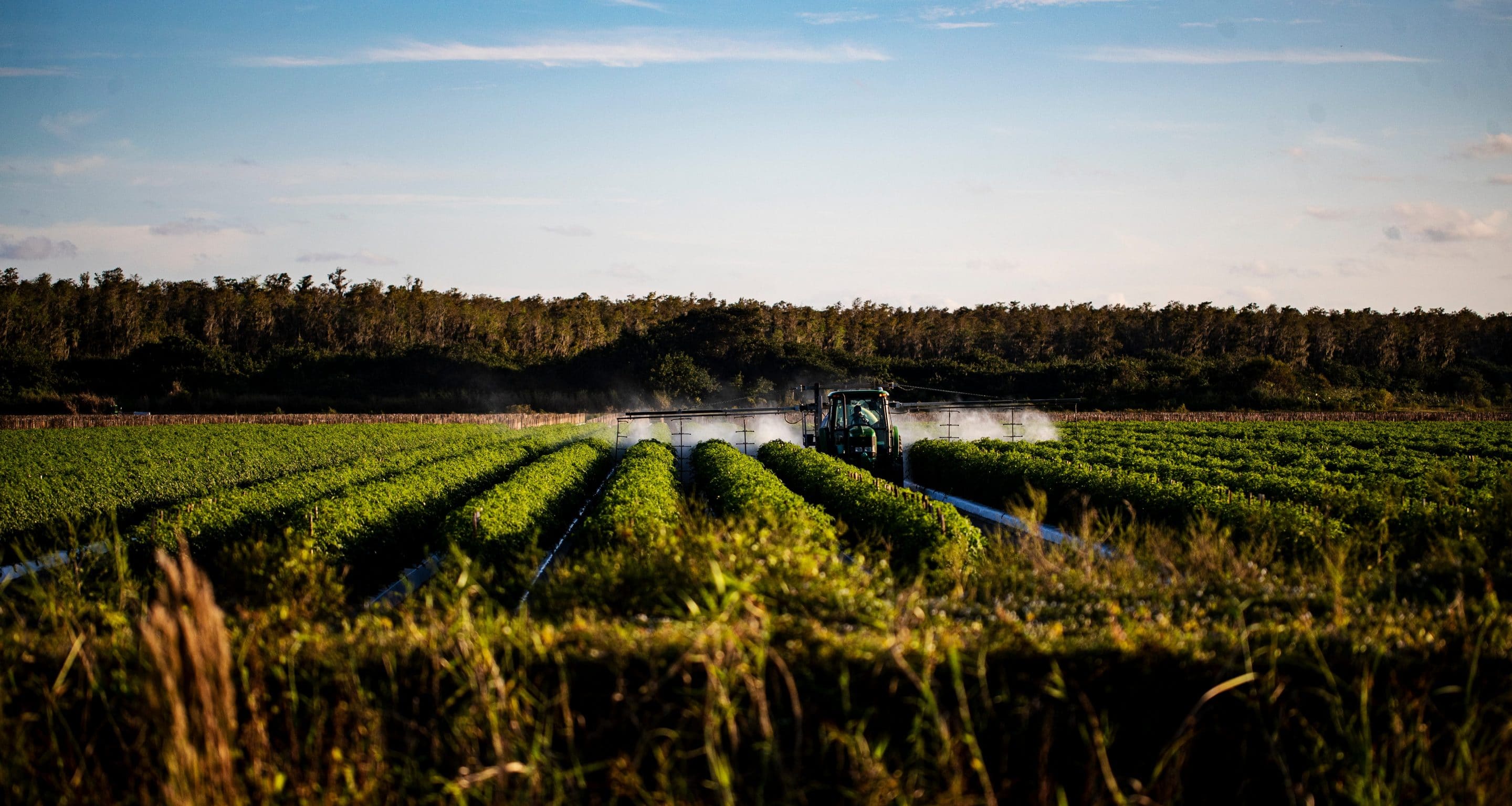 spraying crops