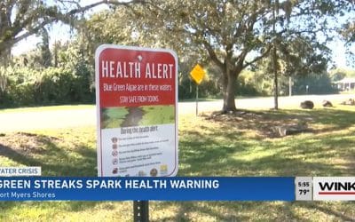 Health Alert Issued in Fort Myers Shores for Blue-Green Algae Outbreak in Caloosahatchee