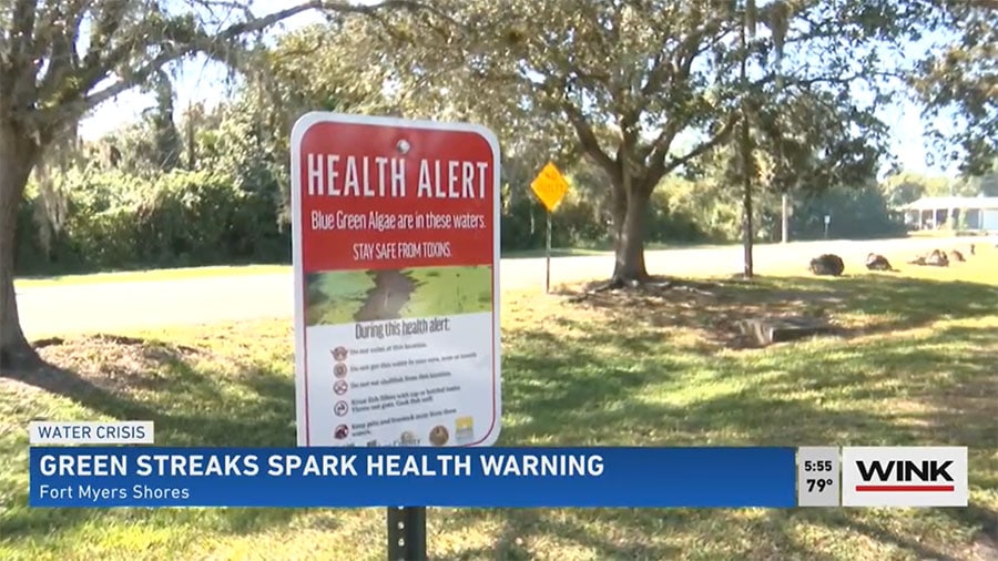 Health Alert Issued in Fort Myers Shores for Blue-Green Algae Outbreak in Caloosahatchee