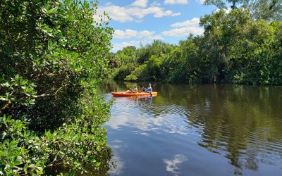 Florida Should Warn Swimmers when there’s Poop in the Water