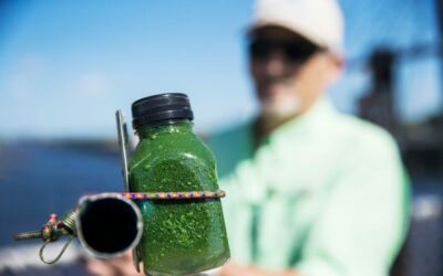 Warm Temps Could Fuel Storms this Summer Resulting in Future Algae Blooms