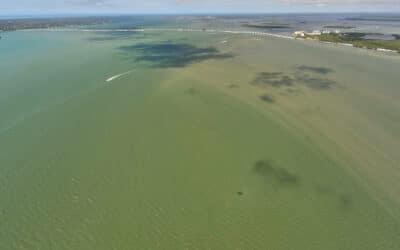 Aerial Photos Show Puzzling Brown Streaks Around Sanibel Causeway