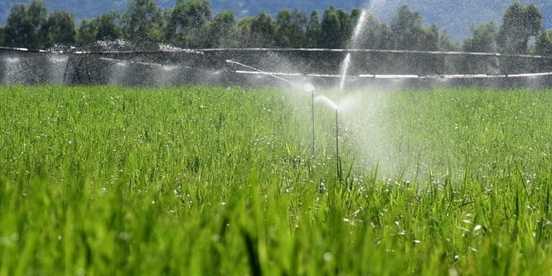 Water Managers Ask Public to Cut Back on Use but No Mention of Agriculture Cutbacks