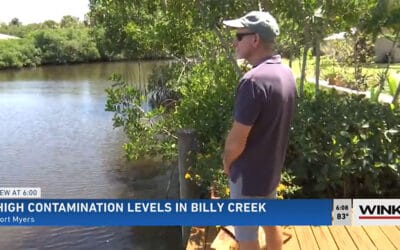 Calusa Waterkeeper Finds High Levels of Bacteria in Billy’s Creek