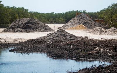 Siesta Isles Neighbors Promise Continued Fight Against Mangrove Clearing near Bunche Beach