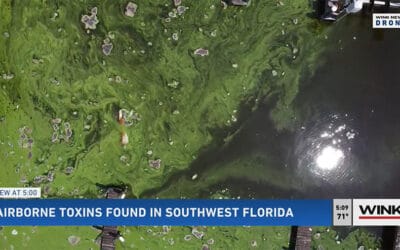 Research Finds Airborne Toxins in Southwest Florida