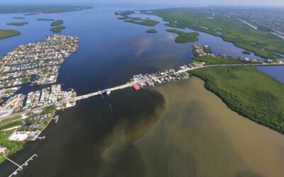 Harmful Algae Bloom Task Force Forms on Pine Island