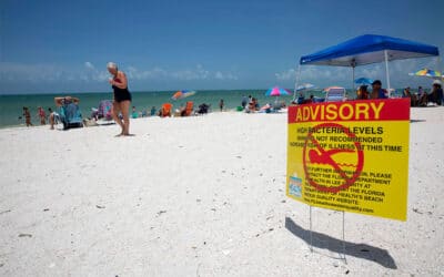 Swimmers ignore warnings of fecal bacteria from the Florida Department of Health at area beaches